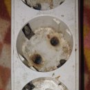 중앙동327 이미지