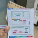 뷰티라인업 | 쿠팡 메가뷰티쇼 2026 성수 참여 브랜드 라인업과 꿀팁 후기