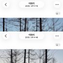 B16-2 | 2025.11 횡성 스므나리캠핑장 - B16