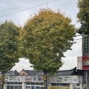 무등로 | [광주] 전현무계획, 백반기행 출연 50년 전통 노포 진한 콩물 두유 맛집 “원조두유” 후기