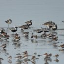 고잔근린공원 이미지