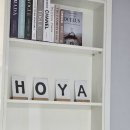 호야스테이 이미지