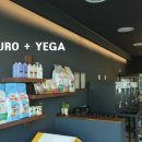 멍멍아 놀자 이미지