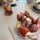 케익인더씨티 이미지