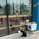 지혜관 화장실 | 한국장학재단 연합생활관 고양 거주후기