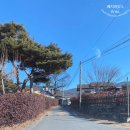 경주 풀빌라 파티오 이미지