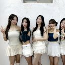 시그니처 카카오 검색결과