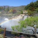 부석사 입구 이미지