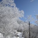 행여, 지리산에 오시려거든 (이원규 시, 안치환 곡 노래) 이미지