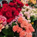 비누꽃 바구니 제작 | 대구 전시회·연주회·발표회 꽃다발 꽃바구니 추천｜당일배송 OK! 가성비 가격 후기 (feat.대구역 꽃처럼)