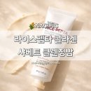 주식회사 샤베트 | [NACIFIC] 네시픽 라이스 펩타 콜라겐 샤베트 클렌징 밤 여행용 짜서 쓰는 화해 1위 클렌징밤