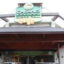 막탄(mactan) 이미지