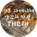 THE램 이미지