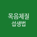 건강플러스365