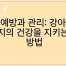 올바른 동물병원 이미지