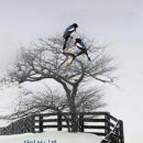 한들약국 이미지