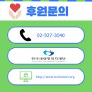 샘물온누리약국 이미지