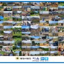 행정사법인 지음 네이버블로그