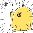 씨씨킴