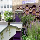 Bee HOTEL 이미지