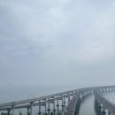 대련여행 1일차 / 필수 코스! 성해만대교와 성게만두 맛집 시딩 후기