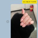 네일데이주드 이미지
