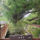 여수충무고등학교 | [여수/미평산림욕장] 자연이 좋아 봉화산 미평산림욕장