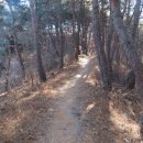 이산치안센터 이미지