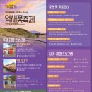 제27회 포천 산정호수 명성산 억새꽃 축제 | 2024년 가을축제 제27회 포천산정호수 명성산 억새꽃축제