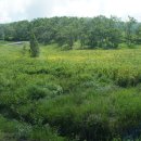 백두산화원 이미지