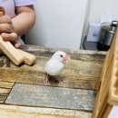 풍수명가 이미지