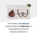 시대안경 이미지