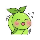 로아핏