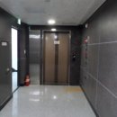 아이손원주 이미지