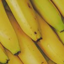 (주)비츄인 이미지