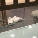 신흥교회 앞 이미지