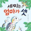 뱁새의만물