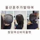 울산 청담동 자체제작 혼주 항암 가발대여