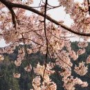 베브스탁어학원