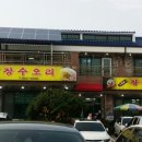 장수오리 이미지