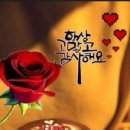천년지기