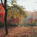 병목안시민공원 이미지