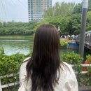 신논현미용실 제이바비헤어 강남점 밀크브라운 염색 후기