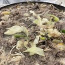 우덕식육식당 이미지