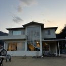 마산애견 | [마산 애견카페 추천] 포둥포둥 | 마산 창원 애견운동장 (가격, 야외잔디, 솔직후기, 주차)