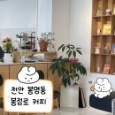 봉정로 | 천안 봉명동 감성있게 모임하기 좋은 카페 [봉정로 커피] 방문 후기!