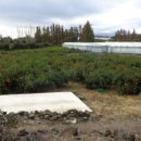 남원읍-22 이미지