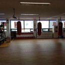 복싱홀릭 이미지