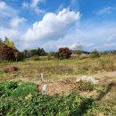 박종익공인중개사사무소 이미지