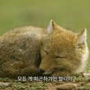 한국외국어대학교 통번역대학원 이미지